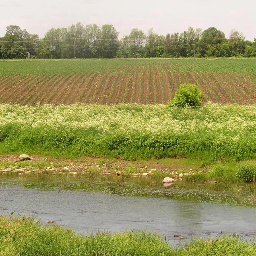 agriculture près de la rivière aux Brochets à Pike River